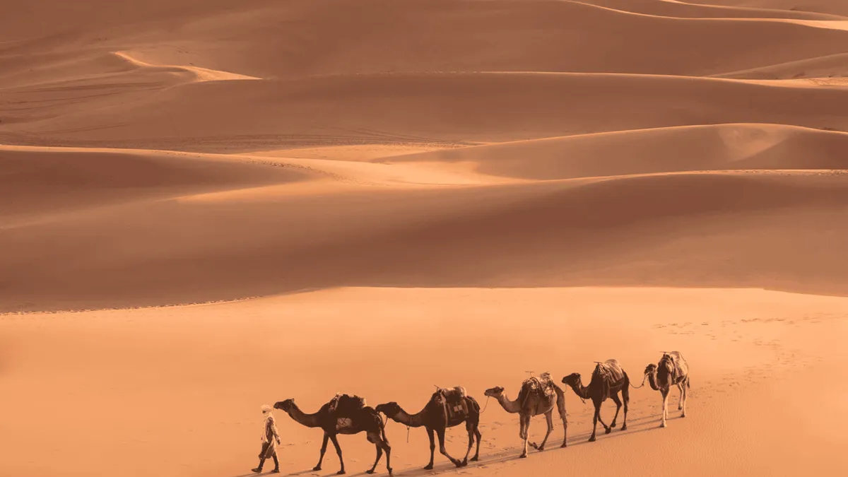 Camel train at sunset on the Erg Chebbi dunes during a 3-day Morocco tour package, Merzouga, Morocco