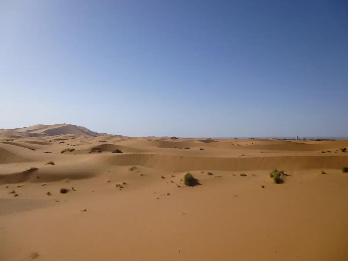 A wide dune landscape under a clear sky near Merzouga on a Morocco tour package, Erg Chebbi, Merzouga, Morocco