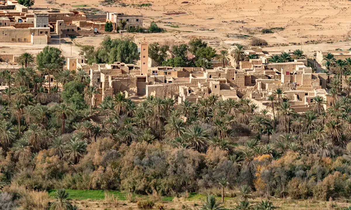 A mud-brick village among palms in the Ziz Valley on a Morocco tour package, Ziz Valley, Morocco
